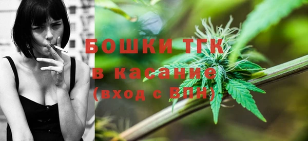 амф Касимов