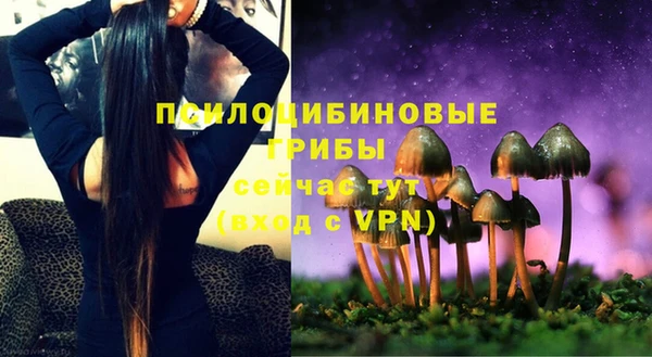экстази Карпинск