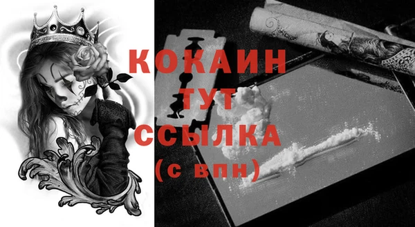амф Касимов