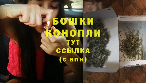 амф Касимов
