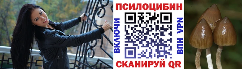 Галлюциногенные грибы мицелий  Купить  Магас 